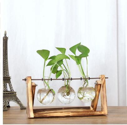 VintaBloom™ Hydroponic Vase