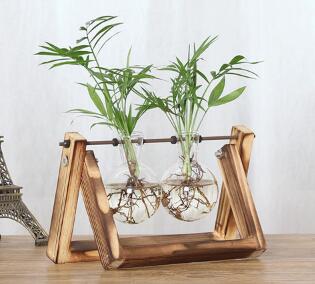 VintaBloom™ Hydroponic Vase