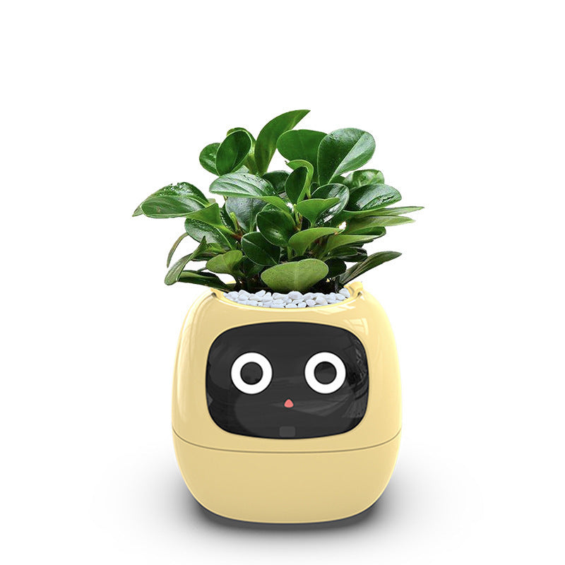 PlantPal™ Smart Planter