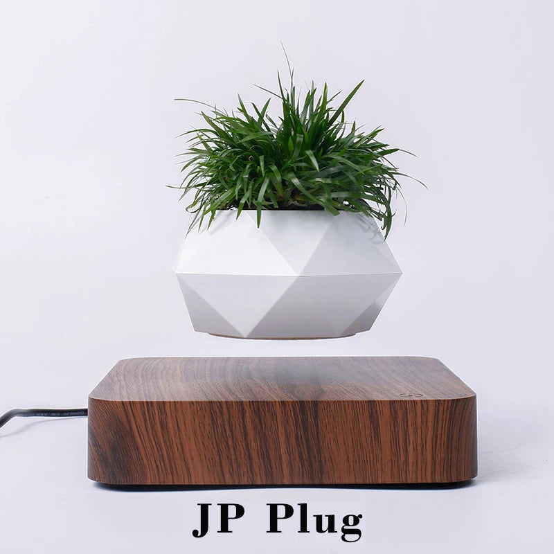 FloataSphere™ Levitating Bonsai