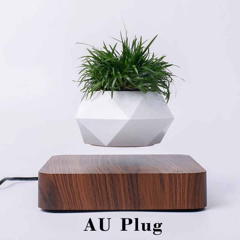 FloataSphere™ Levitating Bonsai